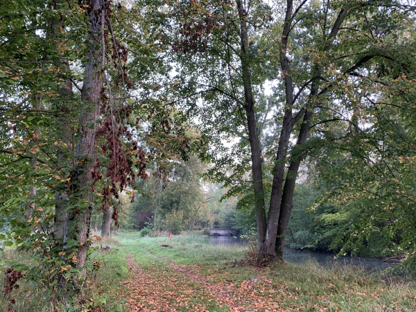 Nous commençons ce circuit de la Vallée Bance à Fontaine-sous-Jouy pour profiter du village, charmant, mais surtout de ses chemins aménagés parmi les bras de l'Eure et les sources. Nous ne retrouvons le balisage jaune qu'au Chemin Rial.