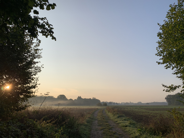 Nous sortons de la zone humide des Boissinnettes pour traverser le Pré Curé et rejoindre le GR26.