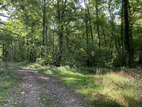 Après avoir traversé l'Eure à Chambray, nous retrouvons le Chemin Rial. Nous tournons ici à droite, sur le discret chemin du Pont du Gor, pour retrouver Fontaine-sous-Jouy.