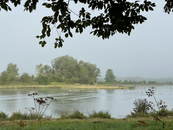 Nous suivons maintenant la promenade aménagée le long des étangs du Parc André Fontaine de St-Aubin-le-Cauf.