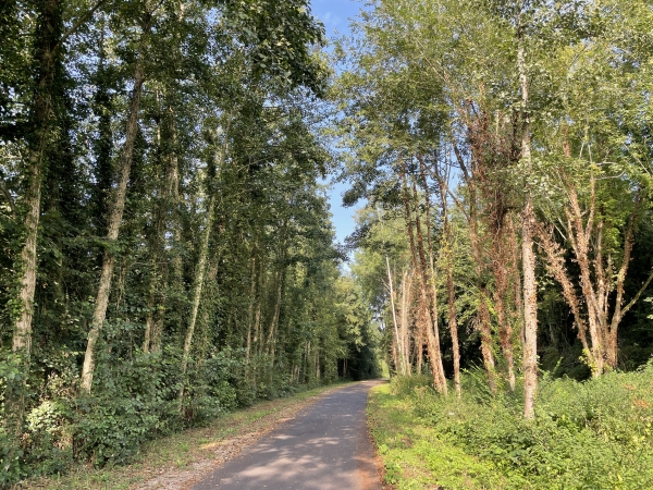 Nous n'avons pas compté l'Avenue Verte, goudronnée, comme chemin dans le rapport routes/chemins de ce circuit.