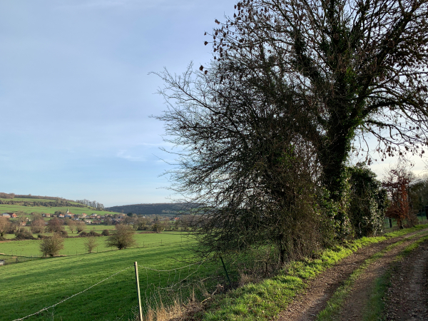 Nous suivons le chemin en lisière du bois de Rouval, au-dessus des Prairies de Sauchay.