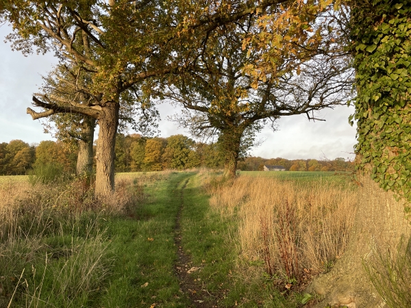 Nous montons maintenant vers le Bois Brûlé.