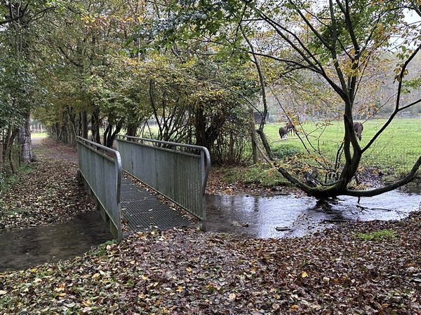 Nous utilisons la passerelle pour traverser la Georgette, petit affluent de la Risle.