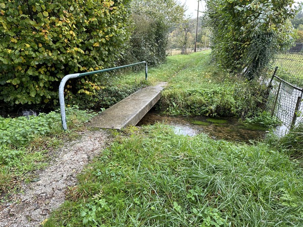 Nous avons un peu joué, sur quelques mètres, avec le circuit officiel pour passer sur cette passerelle de la Georgette.