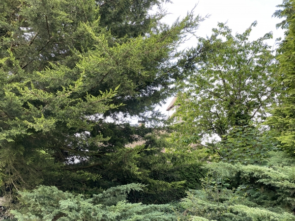 Au niveau de la Ferme de l'Hospice, nous passons devant l'ancienne église Saint-Laurent de Colmare, désaffectée en 1970. C'est désormais une habitation privée, cachée derrière sa haie. On devine le clocher qui abrite toujours une cloche appelée Antoinette Clarisse.