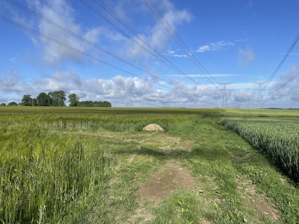 Au moment où nous passons sous la ligne à haute tension, nous tournons à gauche. Attention, il n'y a pas de balisage dans la plaine.