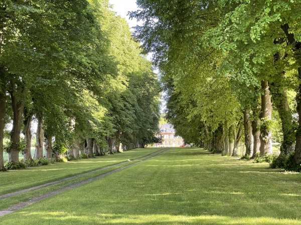 Au bout de son allée, nous devinons le château du Mesnil Godefroy.