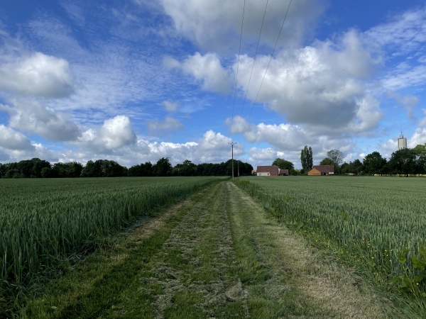 Au bout du chemin, on aperçoit déjà les maisons de la Rue-Saint-Pierre.