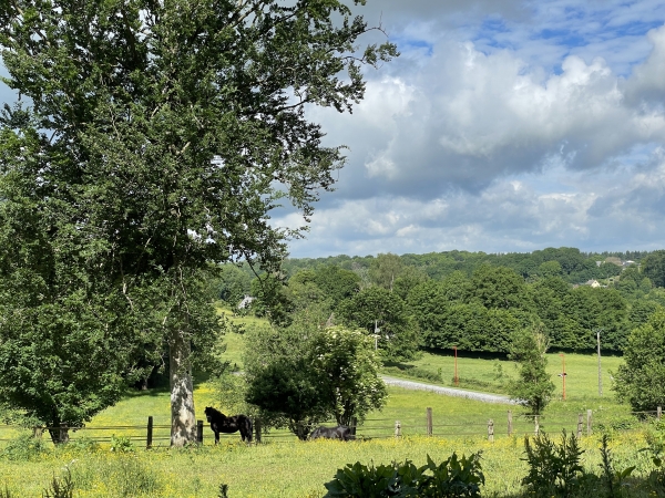 Vue sur la vallée du Cailly à Saint-Germain-sous-Cailly.