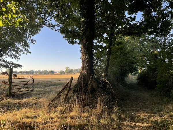 Les chemins sont vraiment agréables, et c'est pour eux qu'il faut suivre ce circuit.