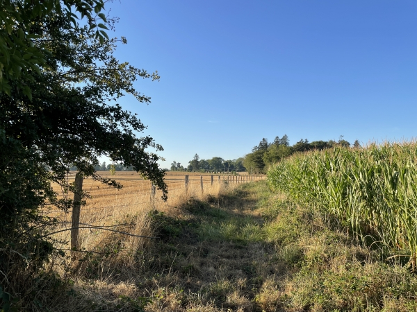 Nous arrivons près du village de Morsan.