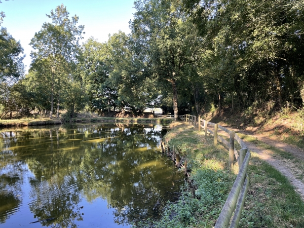 La mare de Viquemare est la plus grande de ce circuit. Nous suivons le chemin qui longe la mare pour retrouver Giverville.