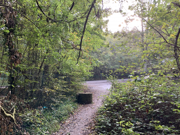Après avoir longé le parc du château de Bizy, nous sortons de la forêt au niveau de la maison de retraite.