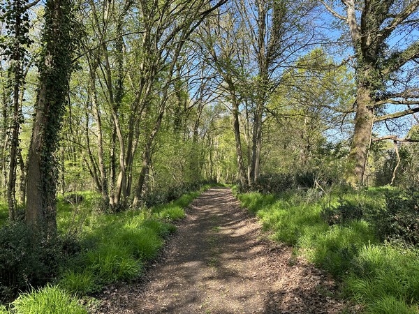 Le chemin descend vers la vallée de la Seine.