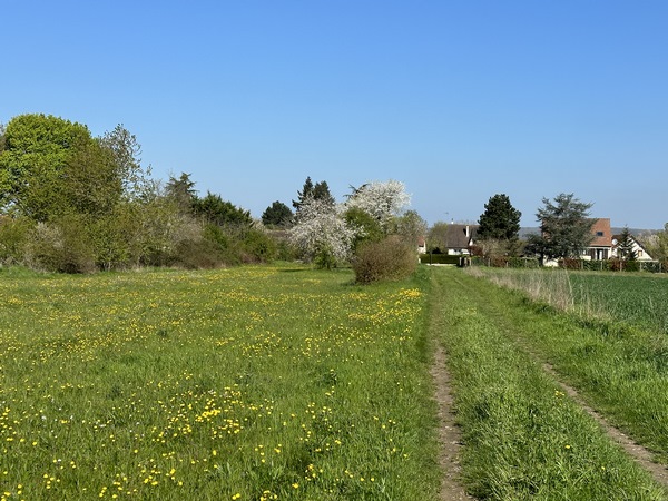 Nous suivons maintenant le Sentier des&nbsp; Ruellettes.