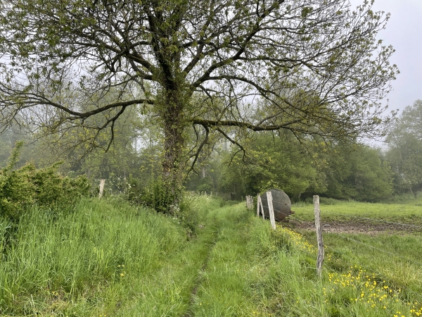 Le chemin est charmant en cette saison, nous allons le suivre jusqu'au lieu-dit de Tous Vents.