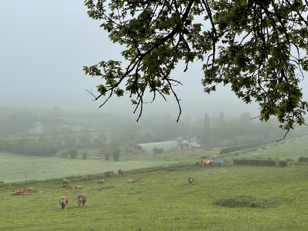 Le chemin domine la vallée de l'Héronchelles, mais les nuages volent bas ce matin.