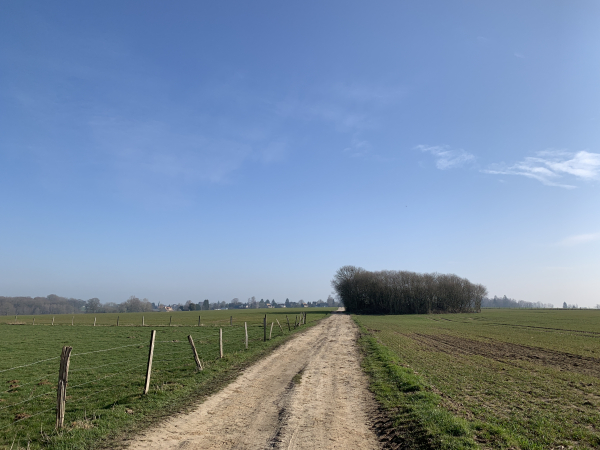 Nous sommes arrivés au sommet, nous allons quitter le GR25 et tourner vers le sud.