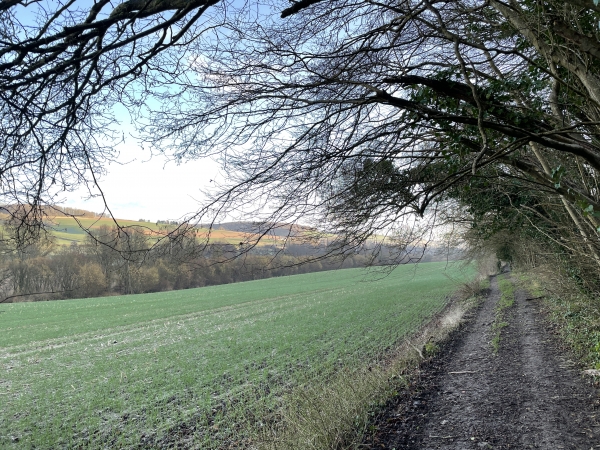 A gauche, dans la vallée, se cache le château de Malvoisine.