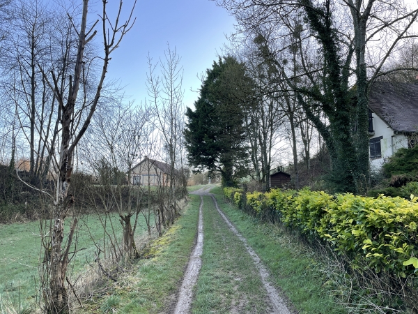 Nous arrivons à la route du Pont Léon. Nous allons suivre  pour entrer en forêt.