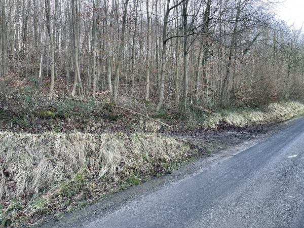 Voilà l'entrée en forêt domaniale de Lyons. Nous allons suivre ce chemin pour remonter le Val Morin.