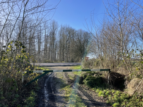 Au bout de la route forestière, nous traversons avec prudence la N31, et prenons le chemin en face.