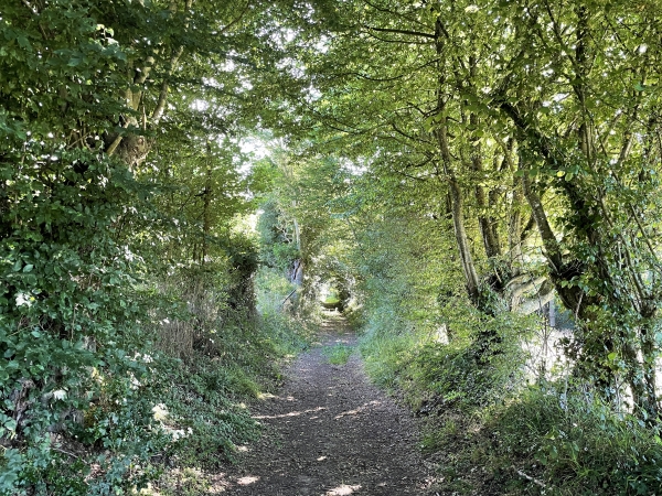 Le chemin passe au Bois Mineray avant d'arriver à Echanfray.