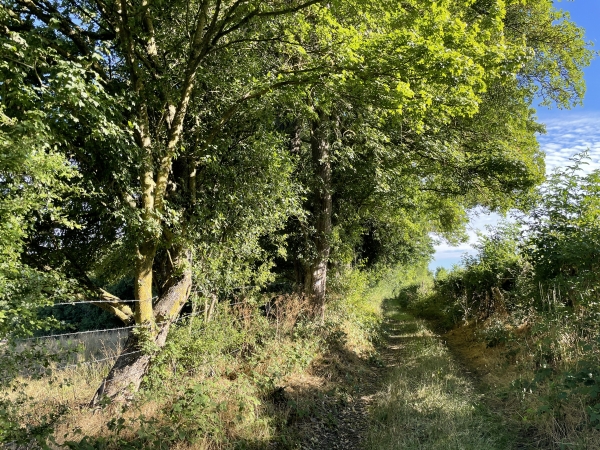 A Echanfray, le circuit passe aux pieds de la triple motte féodale dont le château-fort contrôlait, et taxait, le passage de la Charentonne au moyen-âge. Les mottes sont sans doute visibles aux yeux des spécialistes... Je continue sur l'impasse des Préaux.