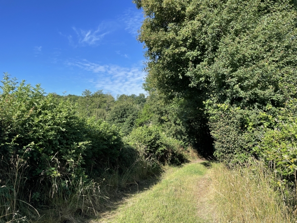 Je quitte le coteau des Préaux, et redescends vers la vallée.