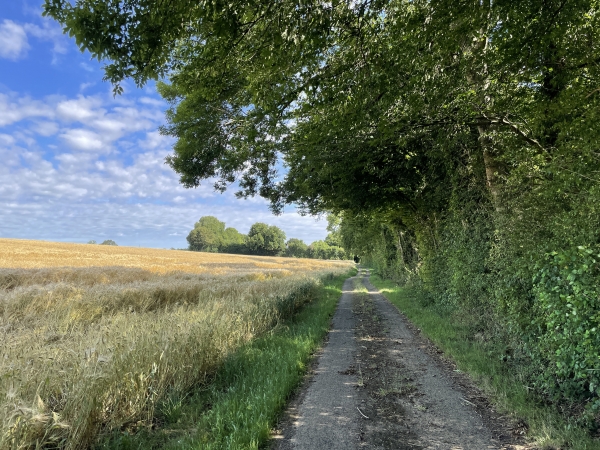 Nouveau virage à 90°, vers le nord cette fois-ci.