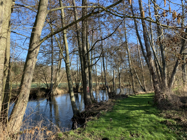 L'Intercom de Bernay a aménagé cette rive de la Charentonne, de façon à valoriser la berge et sa promenade, mais aussi à préserver la zone humide. Chapeau bas, c'est une réussite !