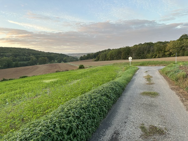 La rue de la Fortelle domine le vallon du ruisseau d'Autheuil. Au carrefour, nous allons prendre à droite sur la route de la Liègue.