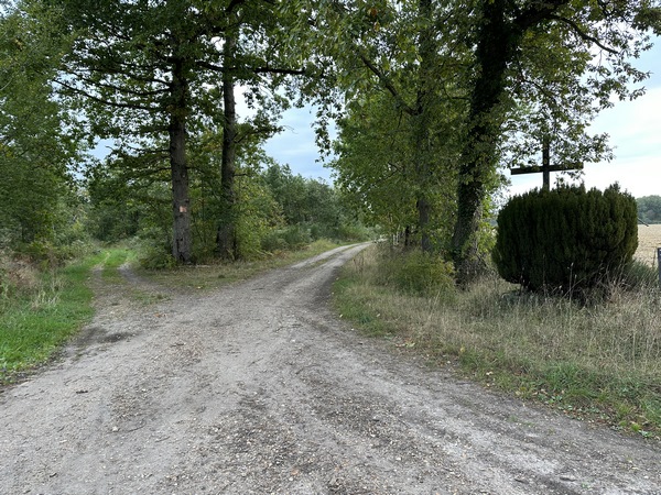 Sur les hauteurs de La Croix Saint-Leufroy, nous tournons vers le nord, et au calvaire, nous prenons à gauche.
