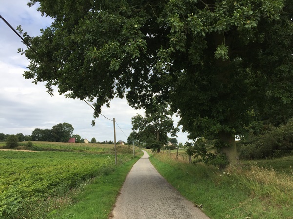 Nous avons traversé la D17, et continuons sur cette petite route de Beaufils.