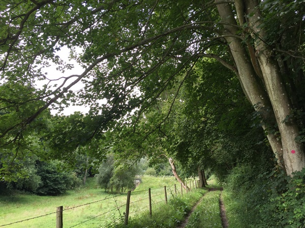 Les traces de la chapelle Sainte-Honorine (désormais habitation privée) se trouvent un peu au nord, au bord du chemin de la Chapelle. La chapelle a été abandonnée après la Révolution. Honorine de Graville est une martyre du IIIe siècle. La légende raconte que son corps, jeté dans la Seine, aurait été recueilli à Graville.