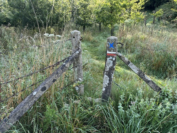 Attention, après le Bourg de Saâne, le GR212 quitte la route et monte ici par un discret passe-clôture.