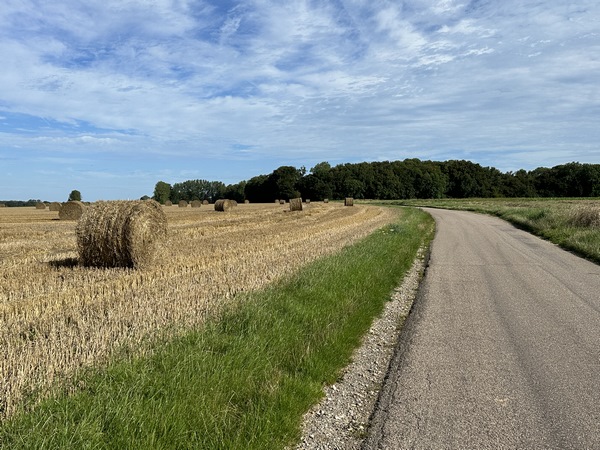 Nous marchons sur la monotone D101, entre St-Ouen-le-Mauger et Royville.