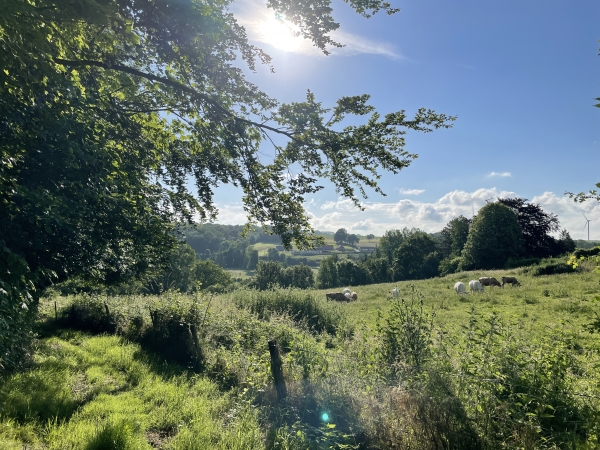 Nous descendons dans la vallée de la Saâne.
