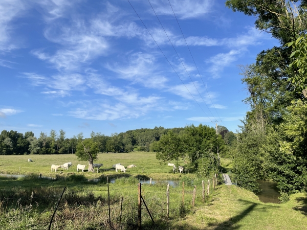 Regard arrière sur la passerelle et le gué.