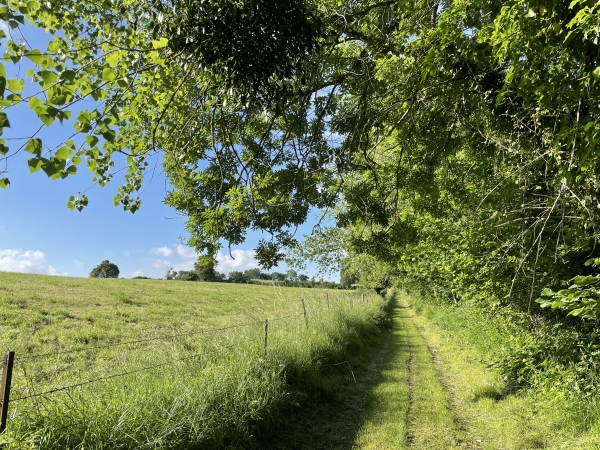 Le chemin perd son revêtement rapidement après le hameau de Ribeuf.