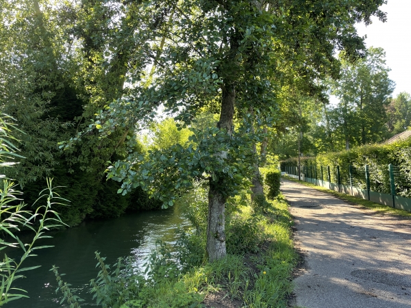 Nous suivons la Saâne sur le chemin du même nom.