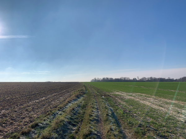 Nous traversons la plaine agricole du plateau des Cent-Acres en direction du Catelier.