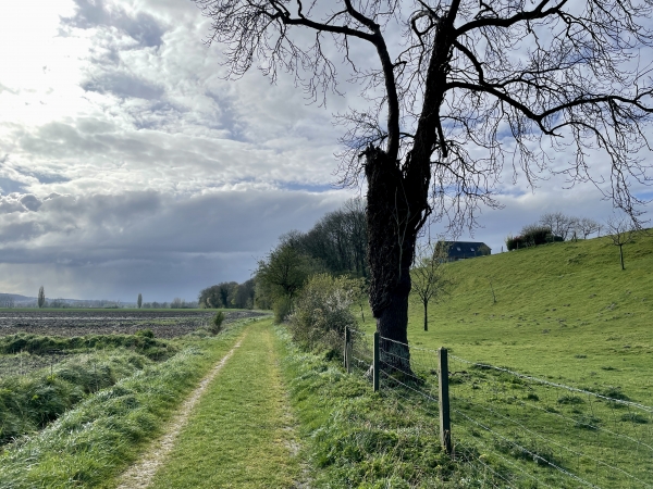 Nous marchons à la limite entre le marais et le plateau.