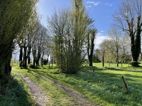 La Maison du Parc Naturel Régional, départ officiel de ce circuit, se trouve sur notre droite. Nous continuons vers Notre-Dame-de-Bliquetuit.
