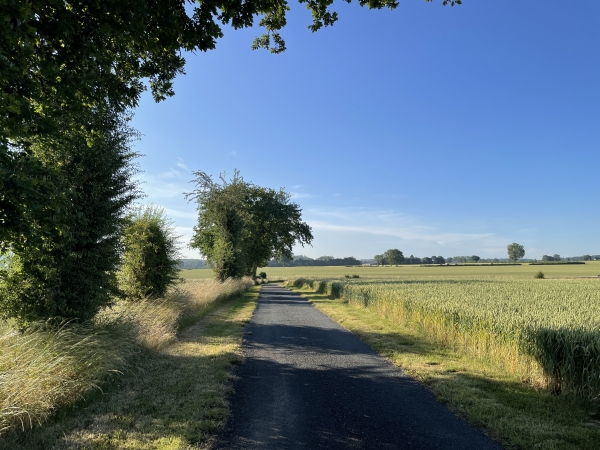 Nous allons longer l'A28 sur 500 mètres. L'autoroute est presque invisible, mais pas insonore.