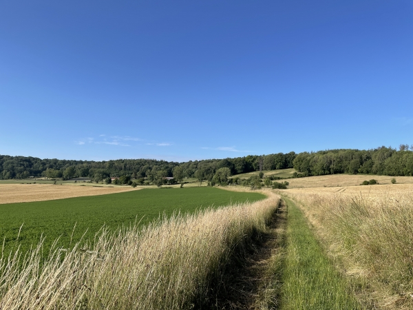 Nous contournons le hameau des Etots par ce charmant chemin qui monte vers la forêt de Ménonval.
