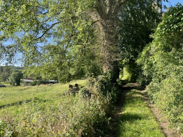 Nous longeons la forêt de Ménonval avant de le traverser par la rue des Etaux.