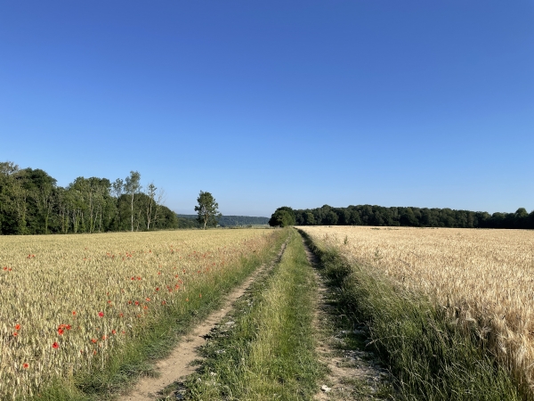 Nous quittons la rue des Etaux pour suivre ce long chemin qui descend dans le vallon de la Goulée.