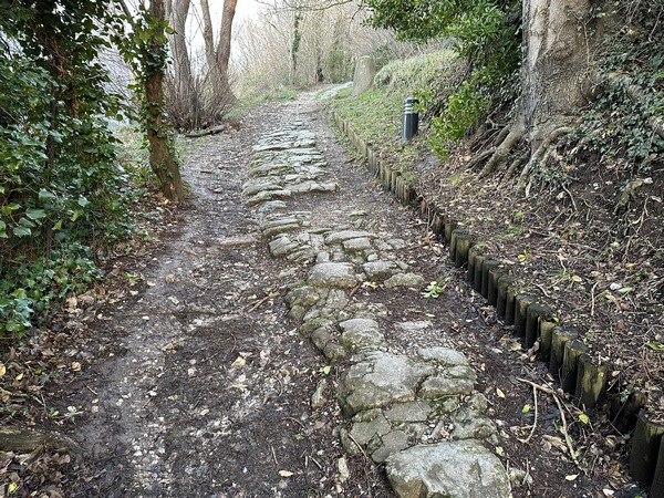 Après l'escalier, nous rejoignons la Voie Gallo-Romaine, pavée au XVIe siècle pour accéder à la forteresse du Bourg Baudouin. Certains pavés ont été gravés par des pèlerins qui montaient vers Notre-Dame-du-Salut.